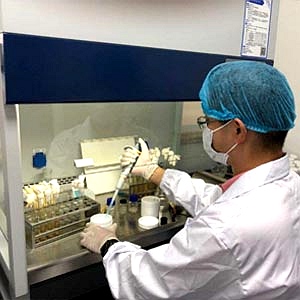 菌种资源室 菌种资源室