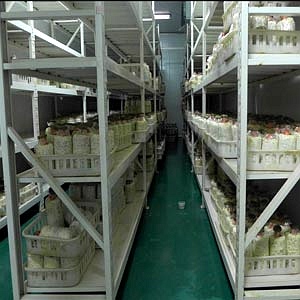 冰温库 冰温库