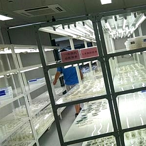人工气候养虫室 人工气候养虫室